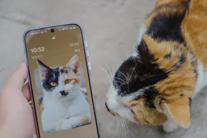 Vesper Kasino Mobilní aplikace